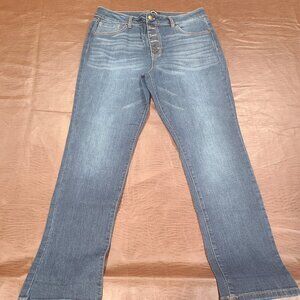 d. jeans 5 button jeans sz 14